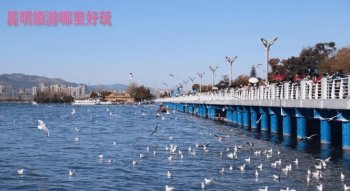 昆明旅游哪里好玩？都是有哪些比較好玩的地方？、