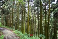 月亮山風景名勝區
